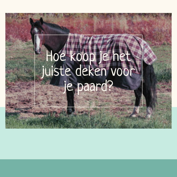 paard deken