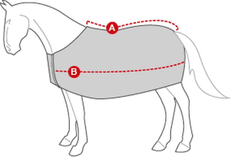 maat kiezen paardendeken