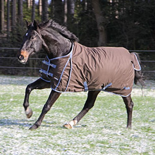 renderen Implementeren Werkelijk Hoe koop je het juiste deken voor je paard? - De Paardenwijzer