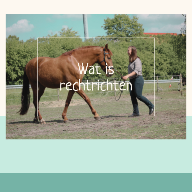 rechtrichten paard