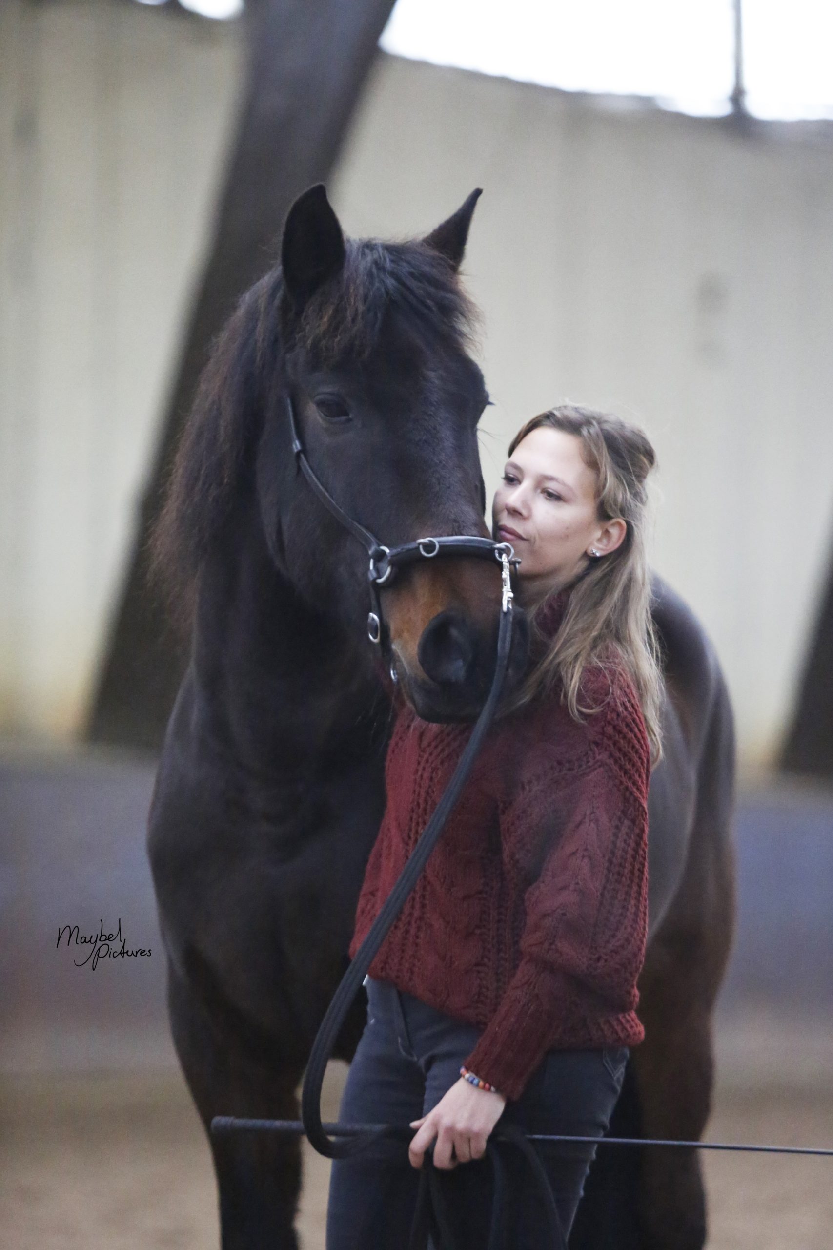 horse training