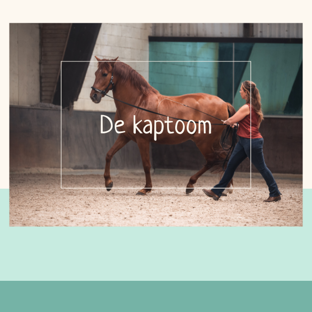 kaptoom paard