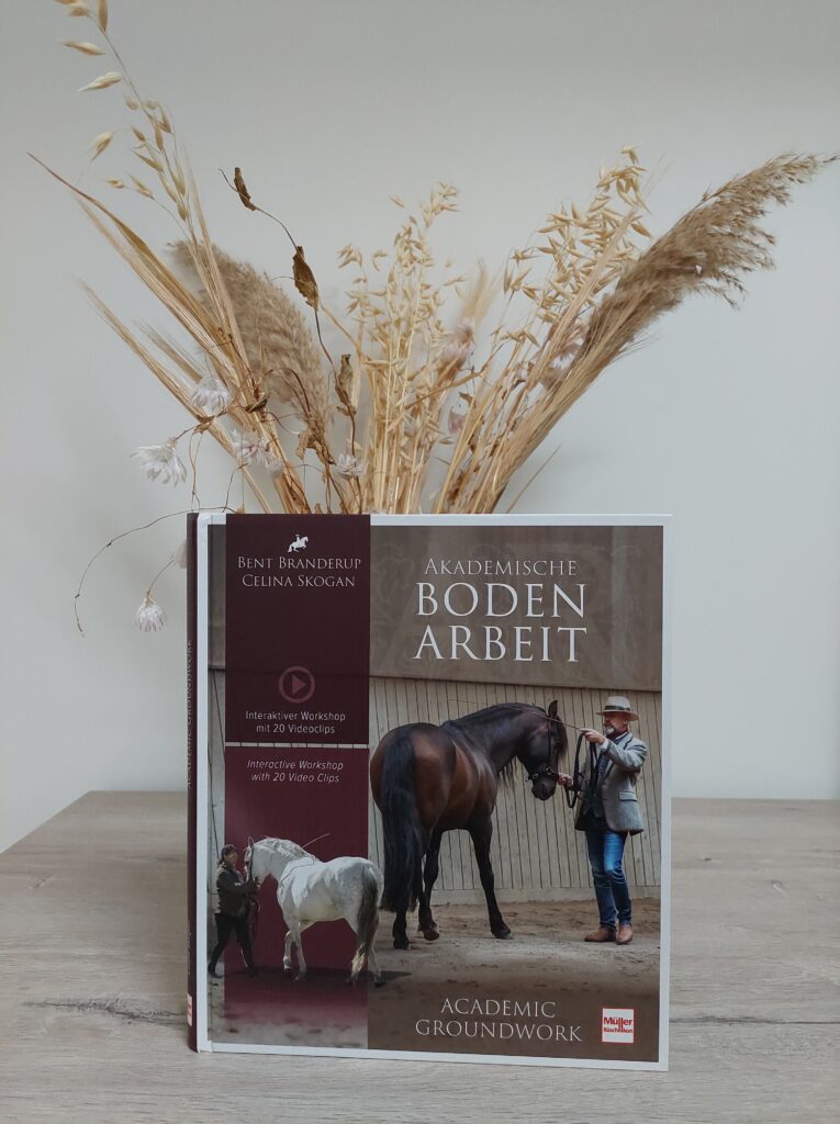 book ground work academic art of riding