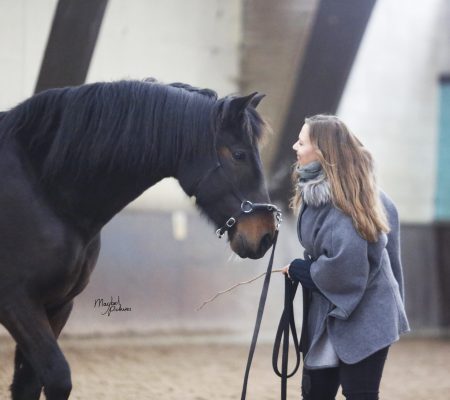 MVDL_20241214_J_00003 (1)