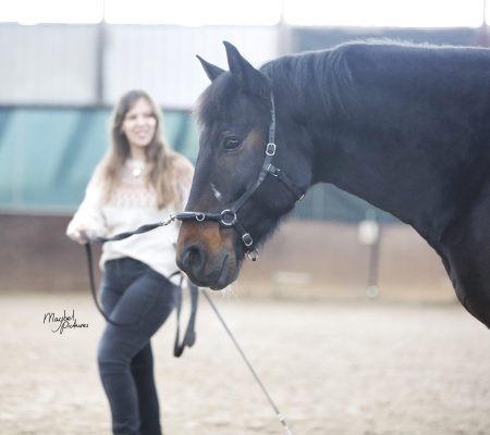 MVDL_20251214_J_00001