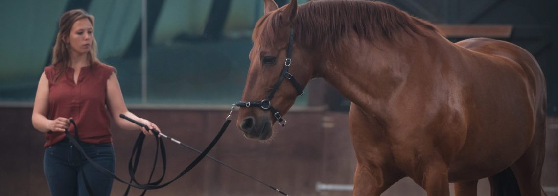 celinerieck_ZCR_6882_20210605_BentBranderupClinic_de_DistelHoeve_2_Jolien&Beleño_print