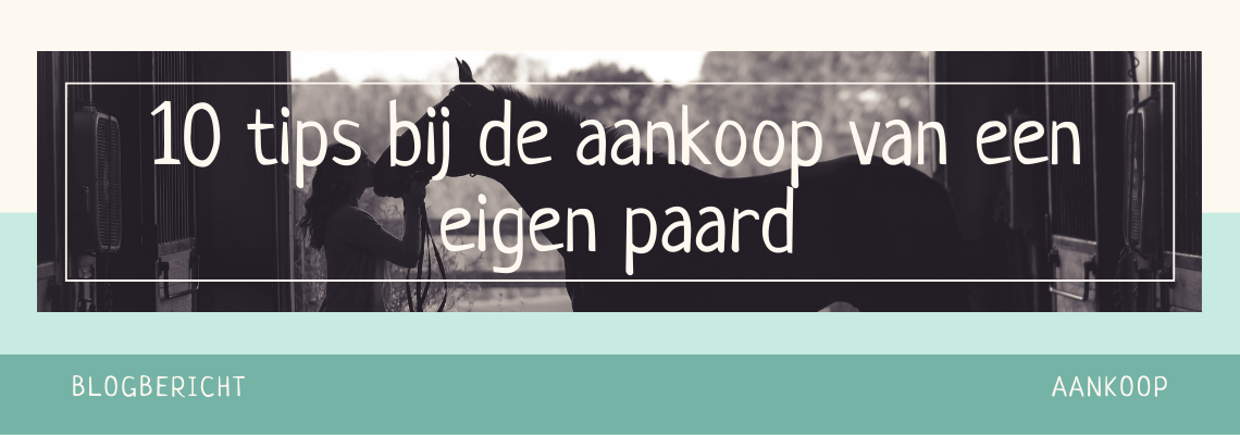 aankoop paard