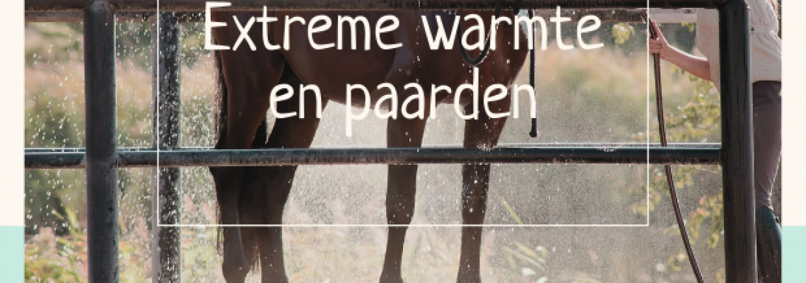 paard warmte