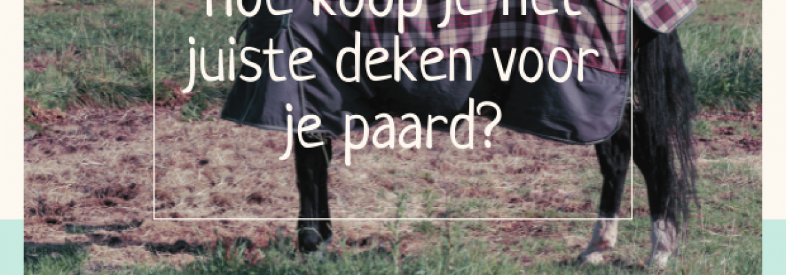 paard deken