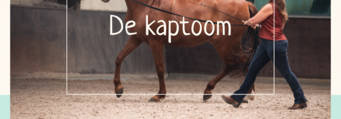 kaptoom paard