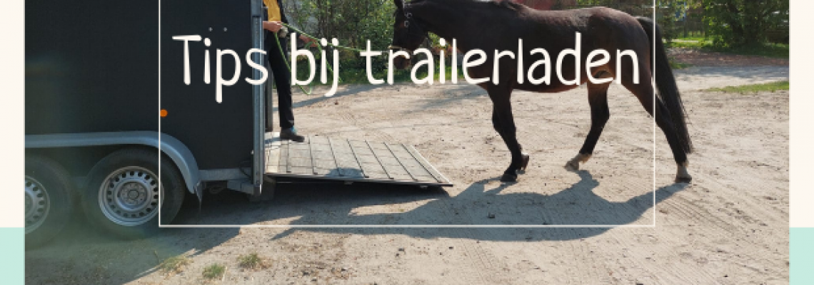 header blogbericht trailerladen 620620